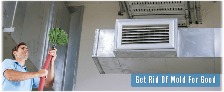 Air Duct Mold Removal in Carrollton