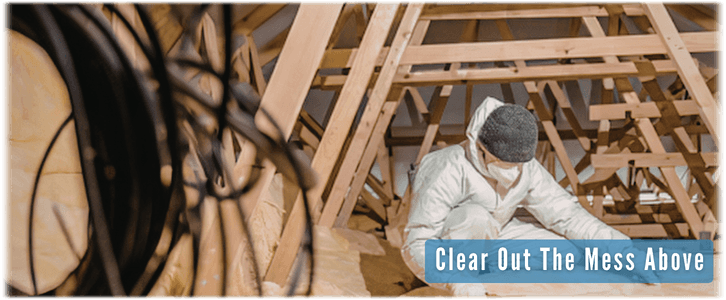 Attic Cleaning Carrollton