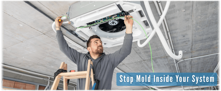 HVAC Mold Removal Carrollton